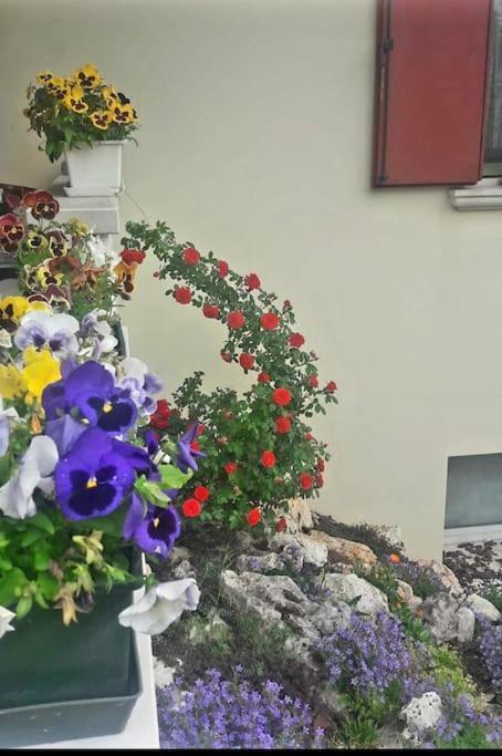 Villa Ama Pordenone Luaran gambar