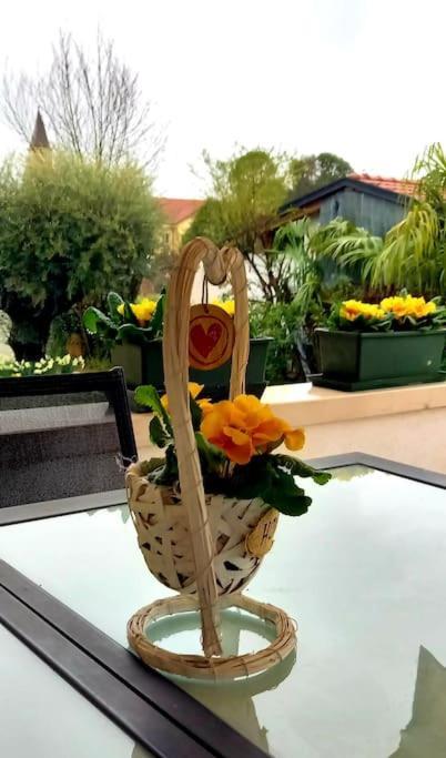 Villa Ama Pordenone Luaran gambar