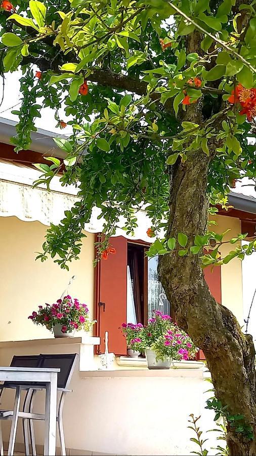 Villa Ama Pordenone Luaran gambar